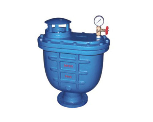 CARX复合式排气阀